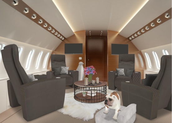 mums private jet  Design Rendering