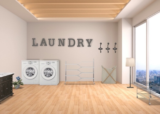 The Best Laundry Room Design Rendering