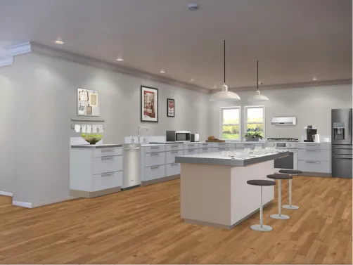 Modern Cabin Kitchen