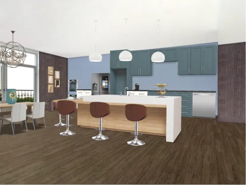 French kitchen 