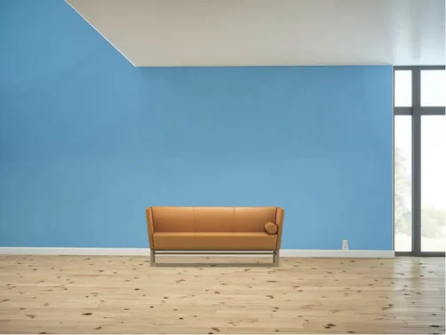 Interior deisgn 