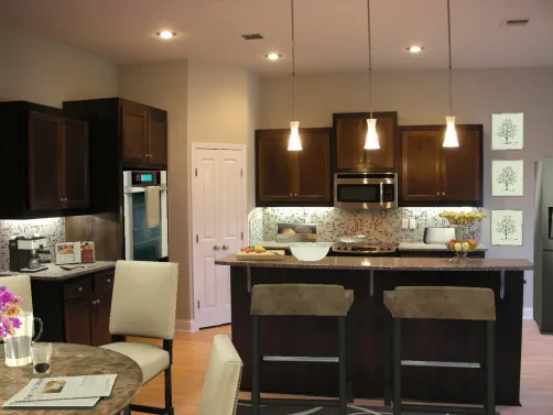 Modern Kitchen 