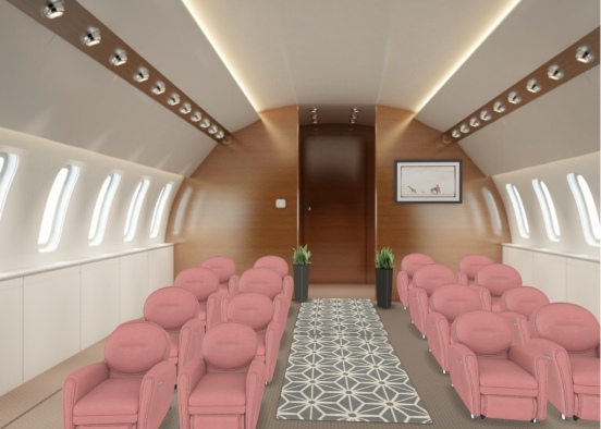 private air plane  Design Rendering