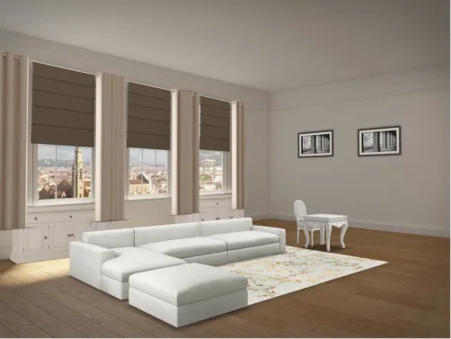 Salon marron et blanc