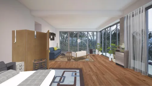 Living room + beedroom