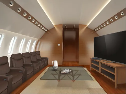 Private plane screening room