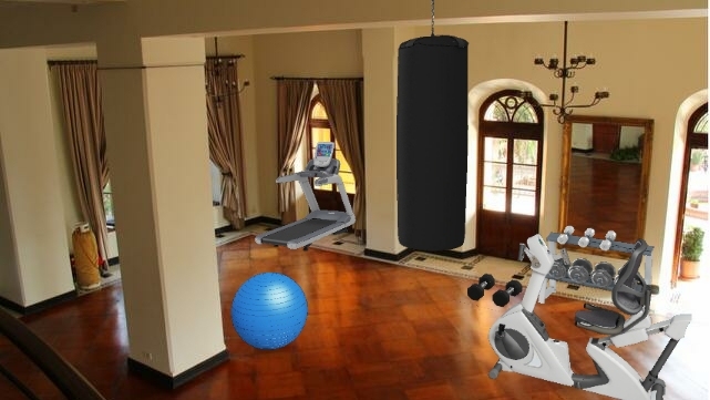 Home style gym Design Rendering