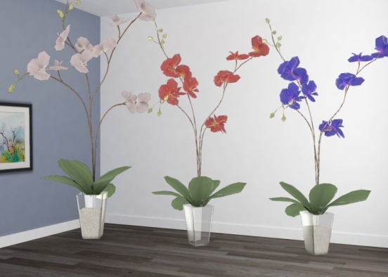 Orchidea  Design Rendering