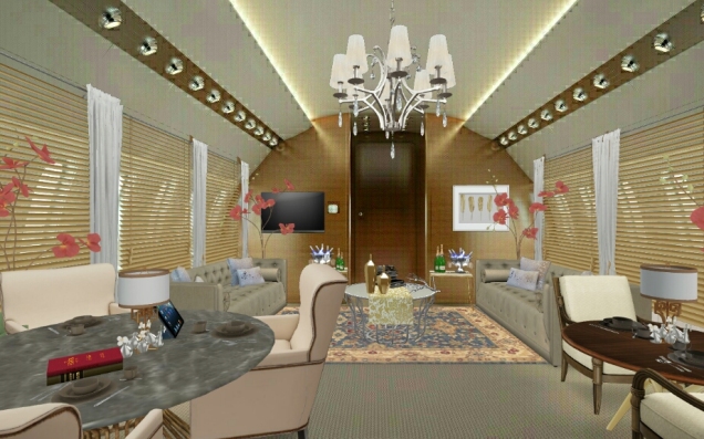 Elegant private jet 