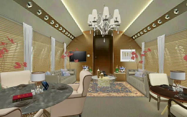 Elegant private jet 