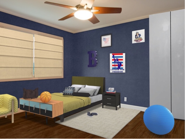 Teen Boy room