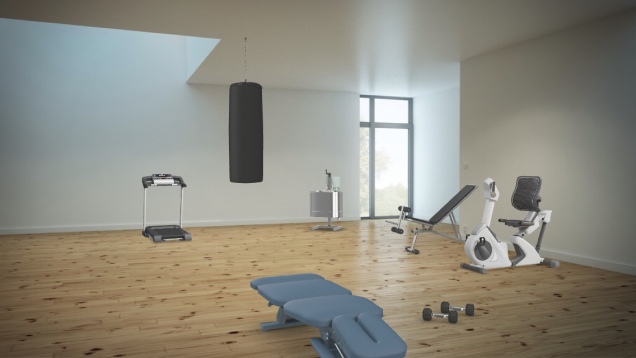 Gimnasio