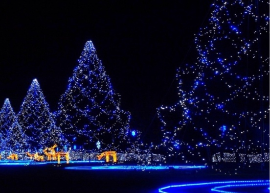 Christmas 🎄 lights Design Rendering