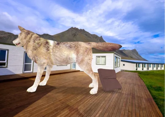 the dogs giant business  Design Rendering