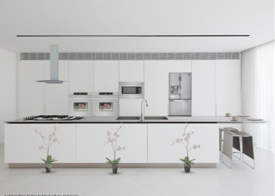 Modern simple kitchen Design Rendering