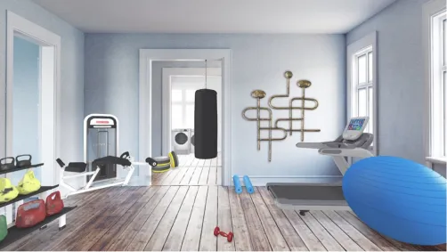 Indoor Gym