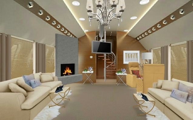 Luxurious private jet 