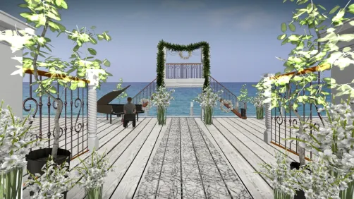 Married on the beach