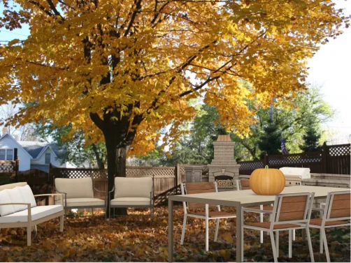 Outdoor Space in Fall