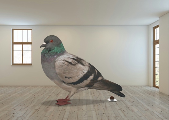 pigeon  Design Rendering