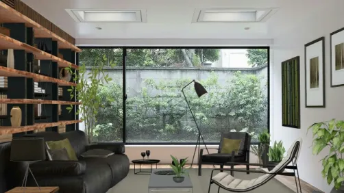 Terrarium 