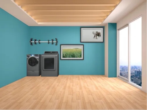 Luxurious Laundry Room