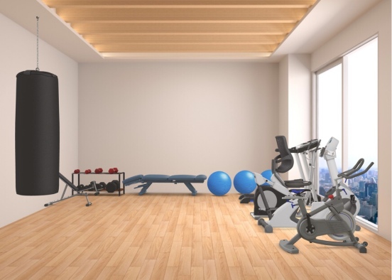 my dads work out room in Washington Design Rendering