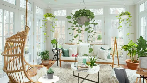 Living room decor 