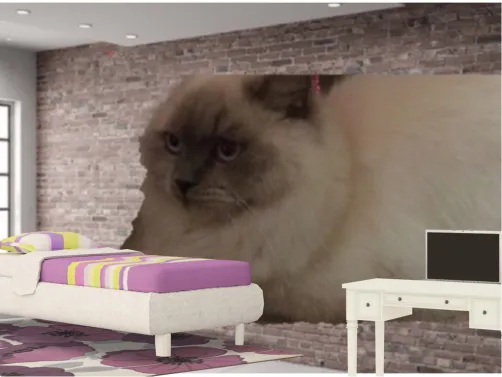Girls Room...OMG NOW DELLY IS ON THE WALLS!