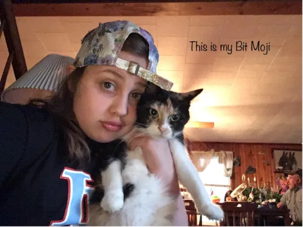 Professional interior design created with Homestyler 3D design software