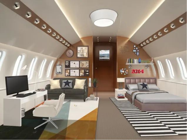 Private jet with bed, sofa & mini office!