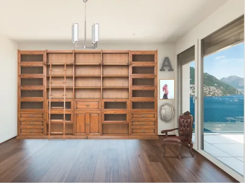 my dream library 
