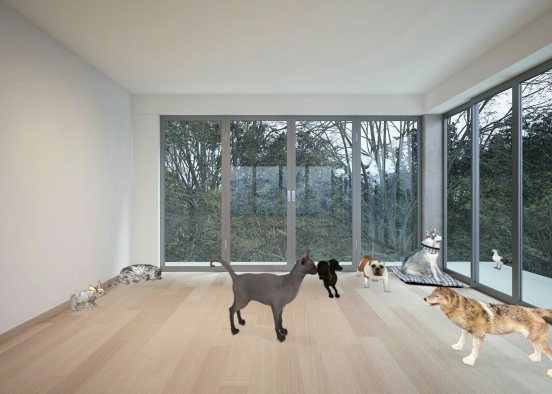 Animal's room  Design Rendering