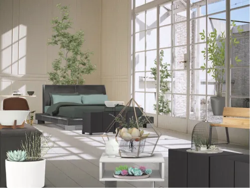 terrarium bedroom 