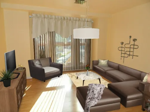 Small Condo Living Room 