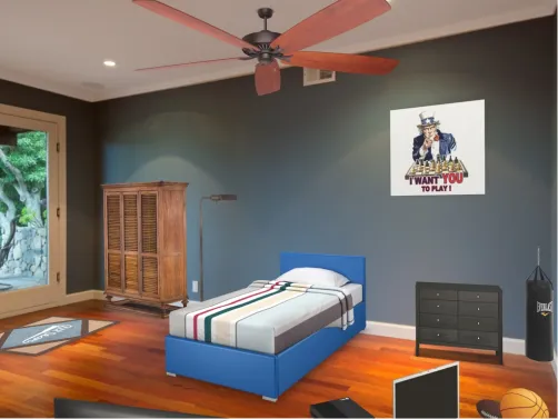 13 year old boy room