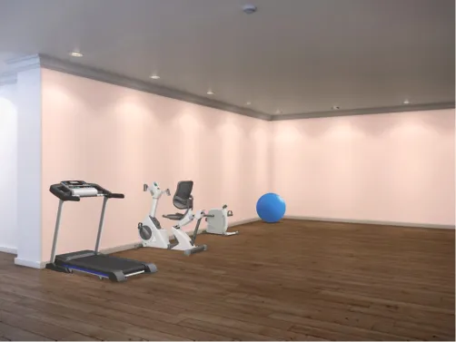 Fitnes