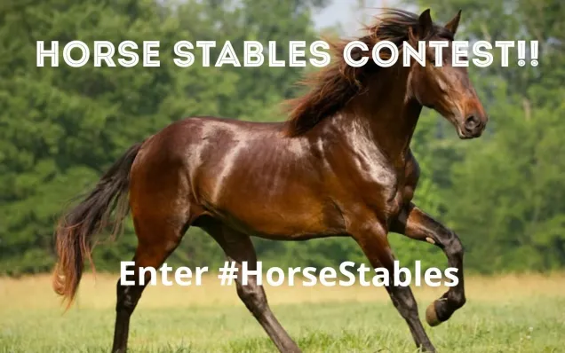 Horse stables challenge