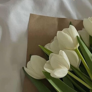 ✧ Zahra DESIGN ✧