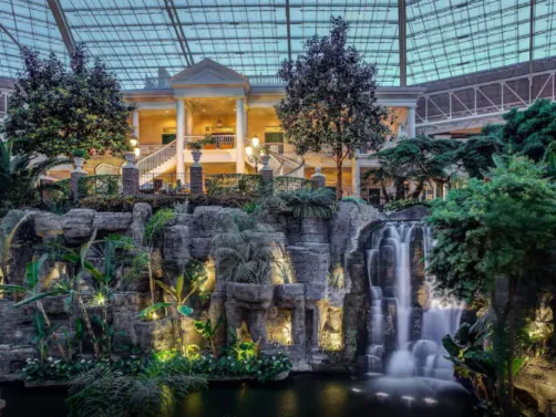 Luxury Plant House