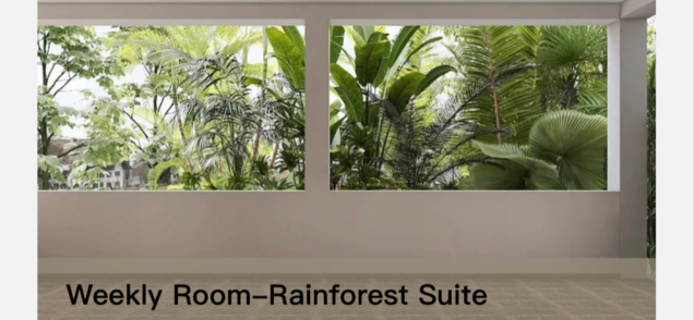 Change of rules for the Rainforest Suite Challenge
