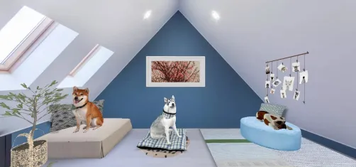 Dogs room
