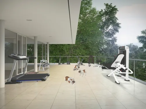 GYM & Play Ground