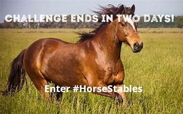 Horse stables challenge ends in two days!❤ Enter while you still can!!! Design Rendering