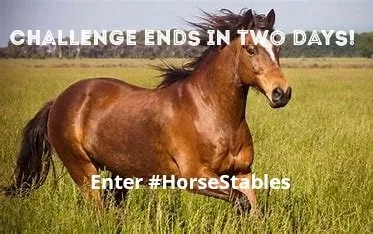 Horse stables challenge ends in two days!❤ Enter while you still can!!!