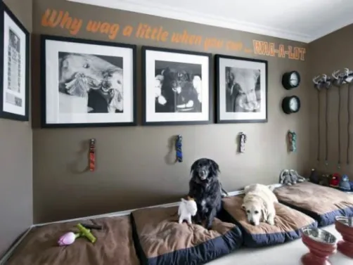 Dog Room