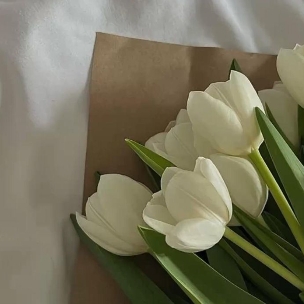 ✧ Zahra DESIGN ✧