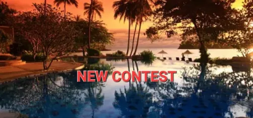 NEW CONTEST: SEA VIEW🌊🌊🐬🐬