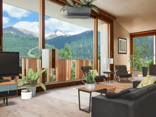 Mt view living