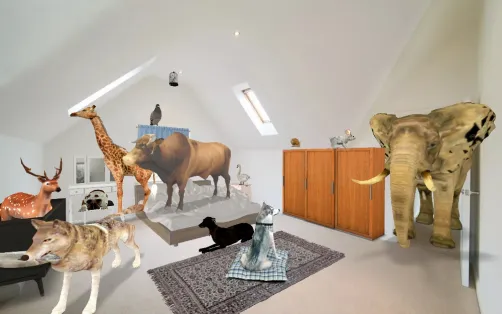 THE ZOO GOT OUT